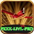 PKZZ - Live Pro